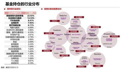 砸崩特斯拉的BG究竟什么来头？软件外包服务全景解析